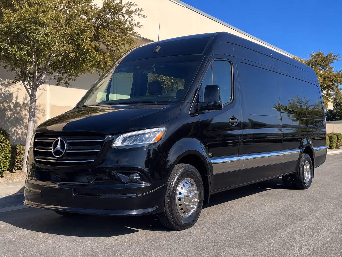 las cruces 10 passenger sprinter van