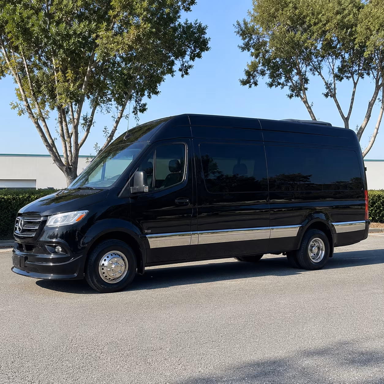 Las Cruces Birthday Transportation