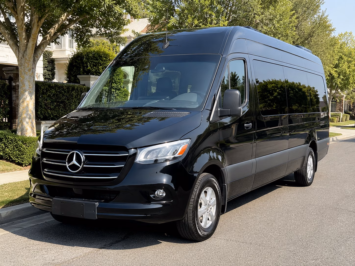 why rent using lascrucessprintervanrental com